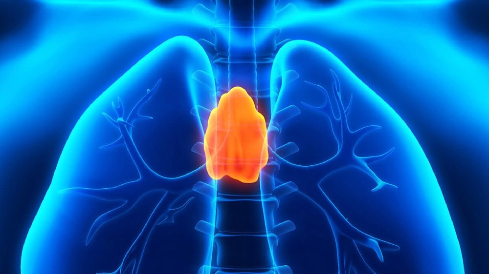 胸腺瘤（胸腺腫瘤）