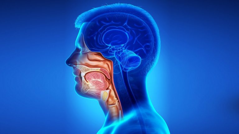 Head And Neck Cancer (Head And Neck Carcinoma)