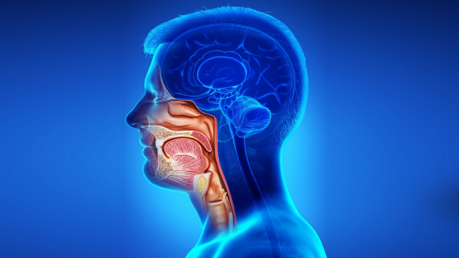 Head And Neck Cancer (Head And Neck Carcinoma)